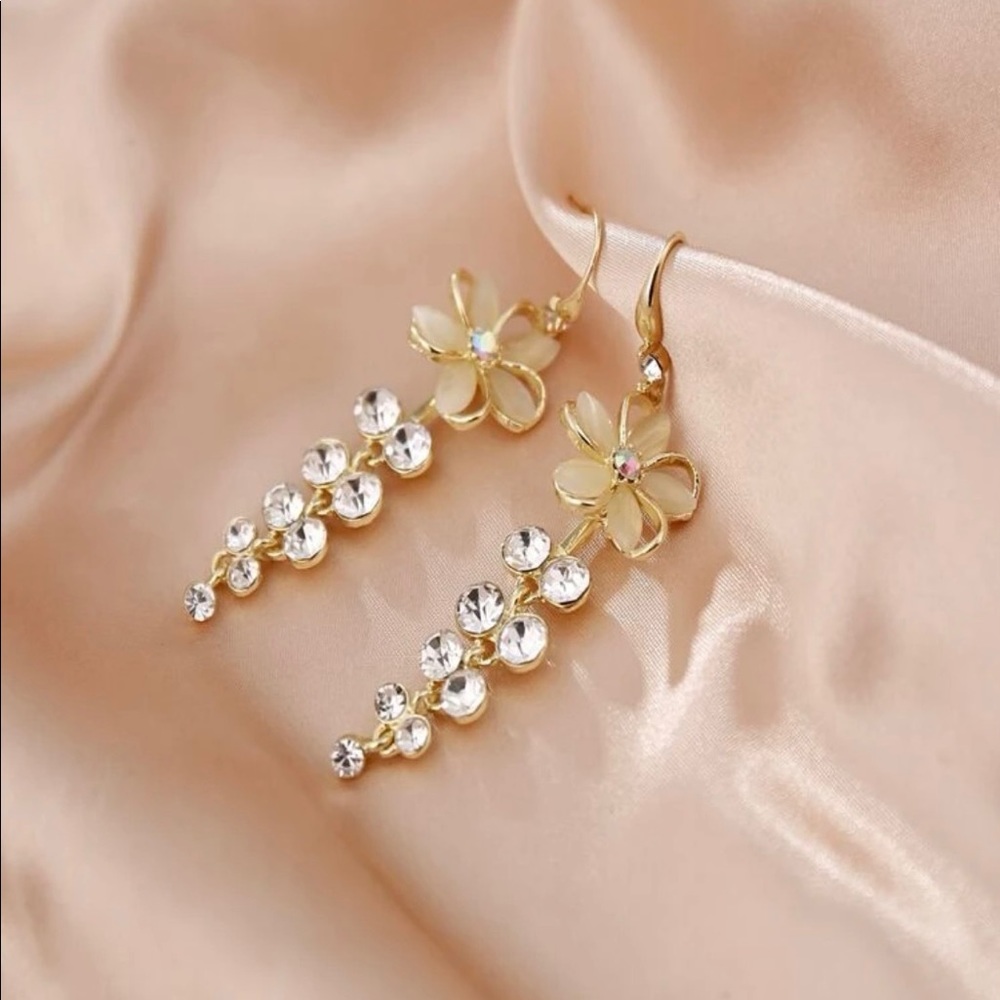 Fashion earrings